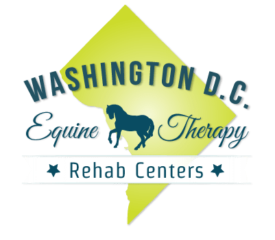 Washington D.C Equine Therapy Rehab Centers